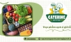 Địa chỉ cung cấp thực phẩm sạch giá sỉ, uy tín tại Nhơn Trạch 